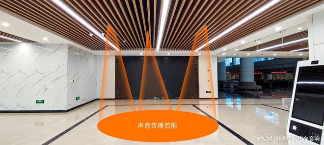 喇叭：提升空间音效的新选择尊龙凯时新版APP吸顶定向(图3)